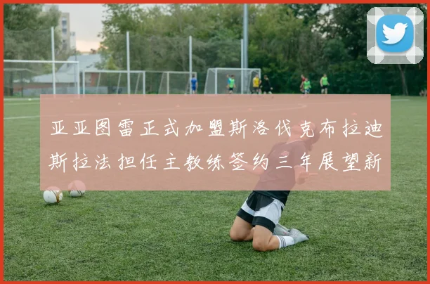 亚亚图雷正式加盟斯洛伐克布拉迪斯拉法担任主教练签约三年展望新篇章