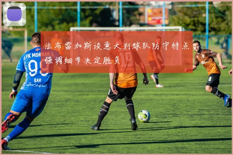 法布雷加斯谈意大利球队防守特点强调细节决定胜负